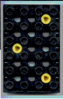 31345c01